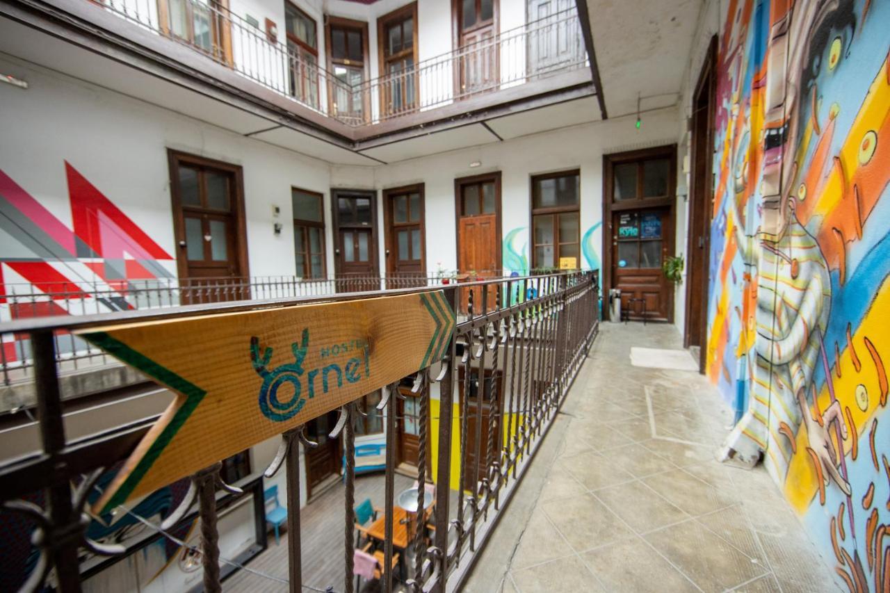 Hostel Cornel تيميشورا المظهر الخارجي الصورة